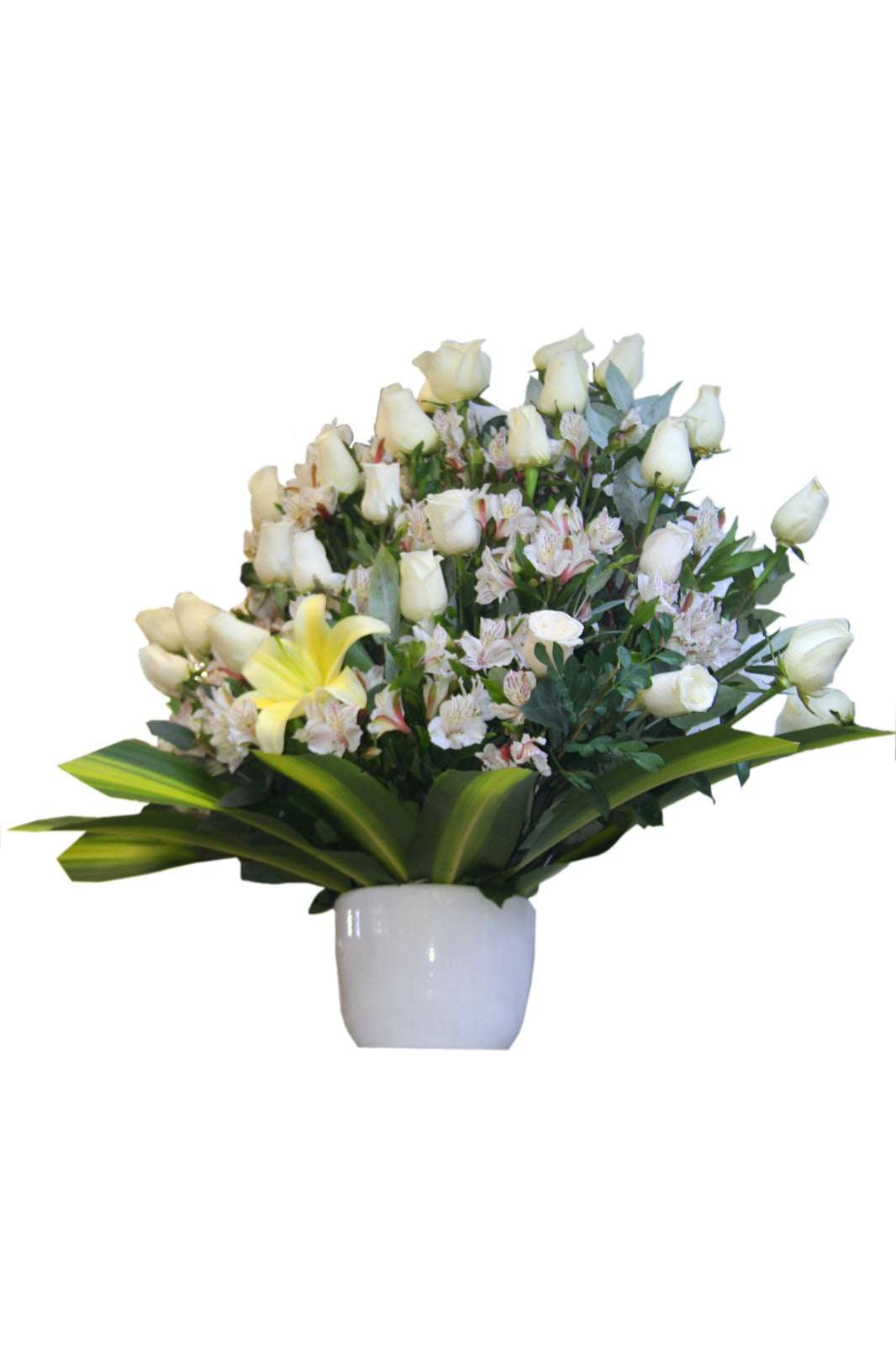 Arreglo de Rosas Blancas con Lirios en Maceta