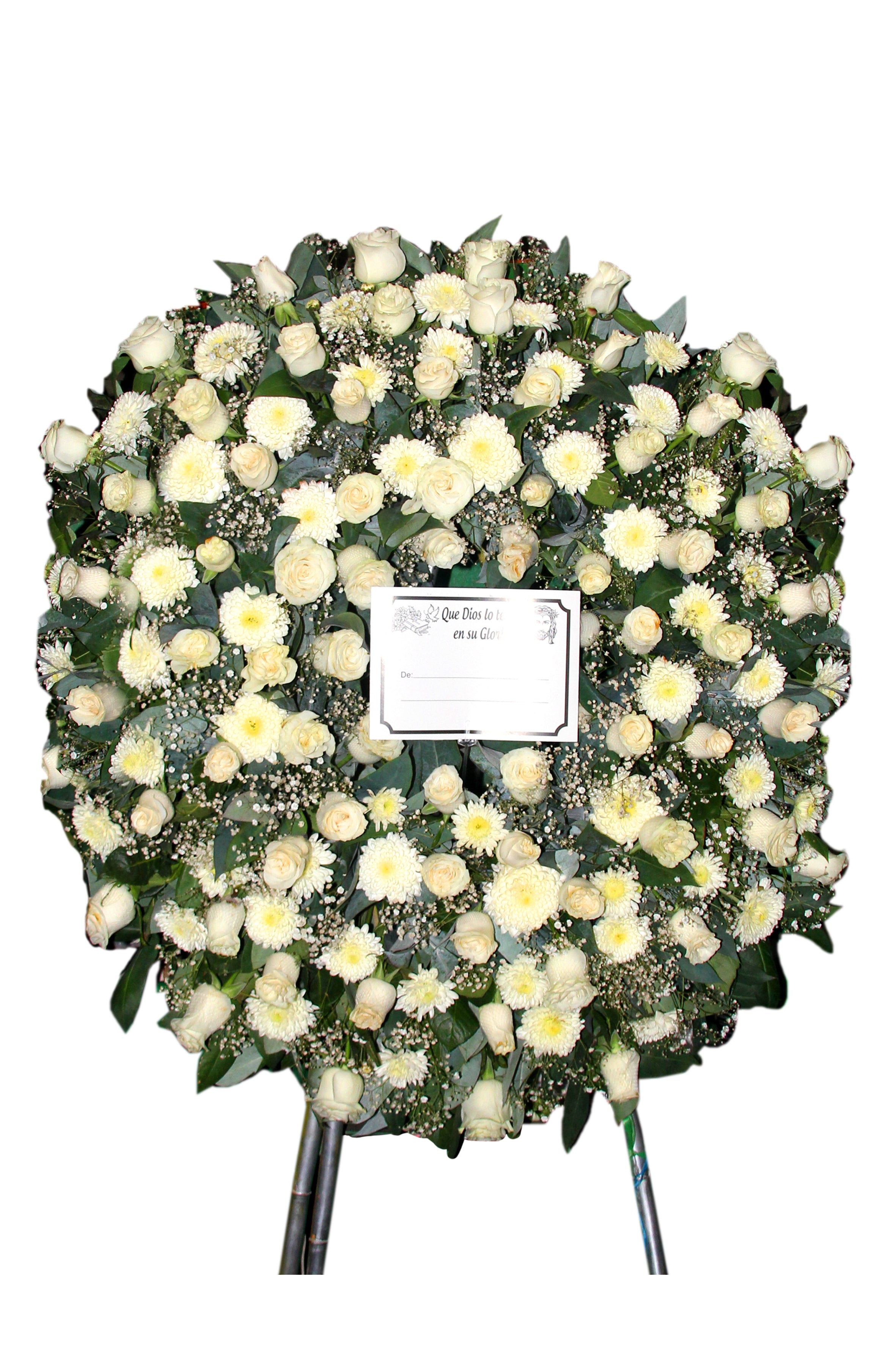 Corona Blanca Serenidad